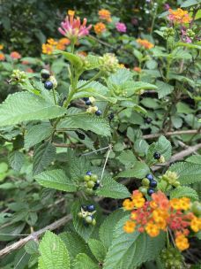 宝海公园-昆明-天空中的海绵