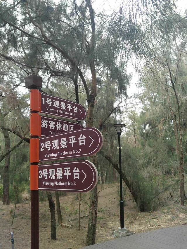 大京沙滩景区旅行图片 3