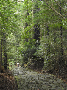 和歌山县游记图文-日本的佛教密宗圣地，世界遗产 — 纪伊山地的灵场与参诣道