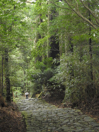 日本的佛教密宗圣地,世界遗产 — 纪伊山地的灵场与参诣道