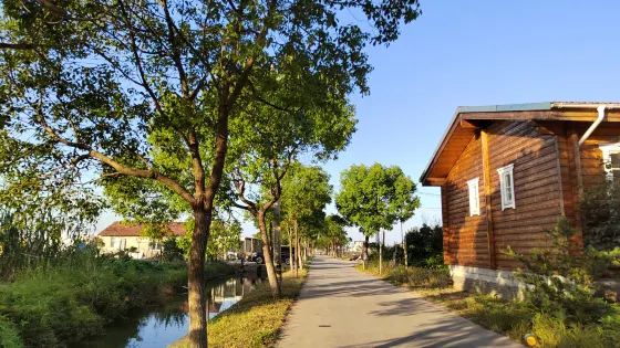 崇明島國家地質公園