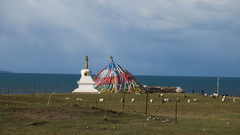 西北地区游记图片] 西北纪行五：风景和心情都在路上（西宁、祁连山、青海湖）