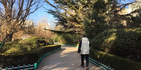 梧桐購物休閑廣場