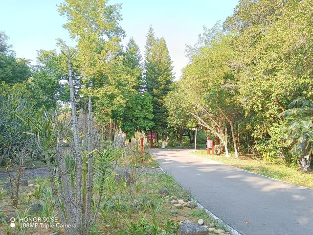 西双版纳南药园旅行图片 1
