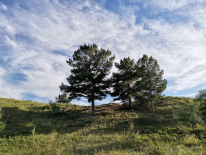 海拉尔游记图文-内蒙古呼伦贝尔亲子游攻略|九天八晚2022年7月