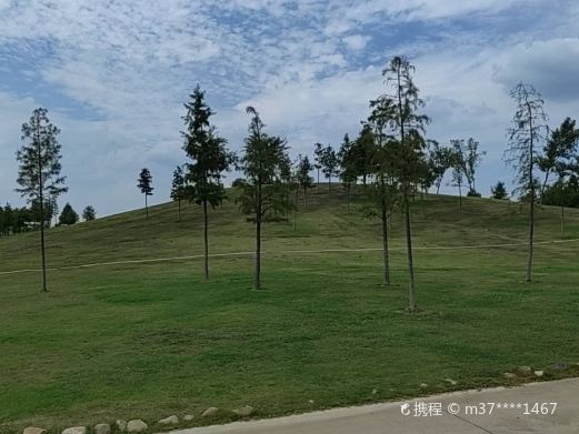 合肥岸上草原