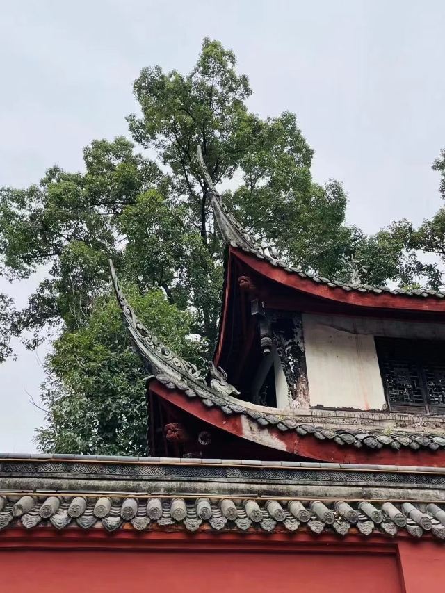 文殊院旅行图片 2