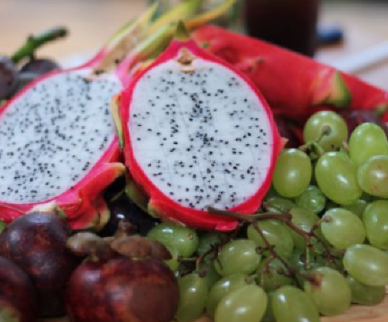 CIRCLE108 丛林咖啡