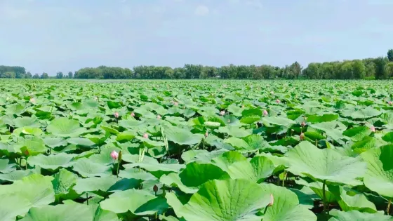 瀋陽仙子湖旅遊風景區