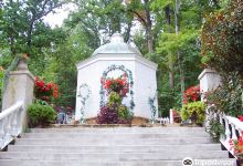 Parrot Mountain and Gardens景点图片