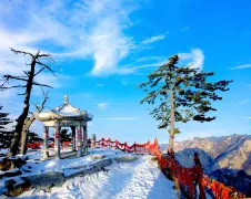 1-Day Huayin Tour: The perilous Yaozifanshen Trail and the majestic East Peak