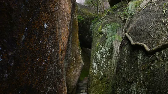 太姥山景區-一線天