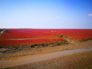 深秋快意自驾行—— 带着爹妈去东北！