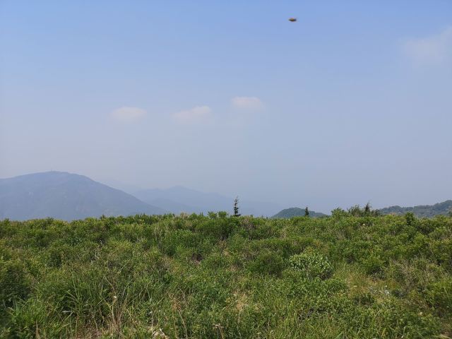 玫瑰谷旅行图片 3