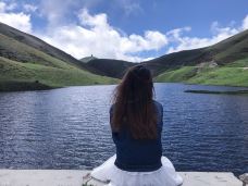 大海草山-会泽-小蘑菇wing仔