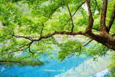 树正群海-九寨沟-顺时针1986