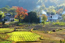 塔川-黟县