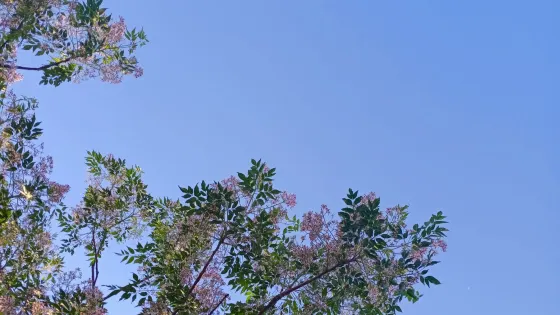 宿鴨湖水庫