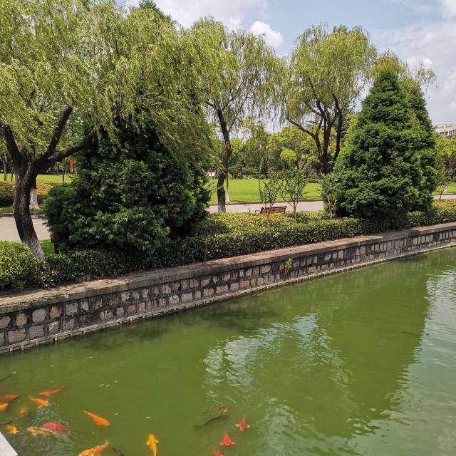 双秀公园旅行图片 1