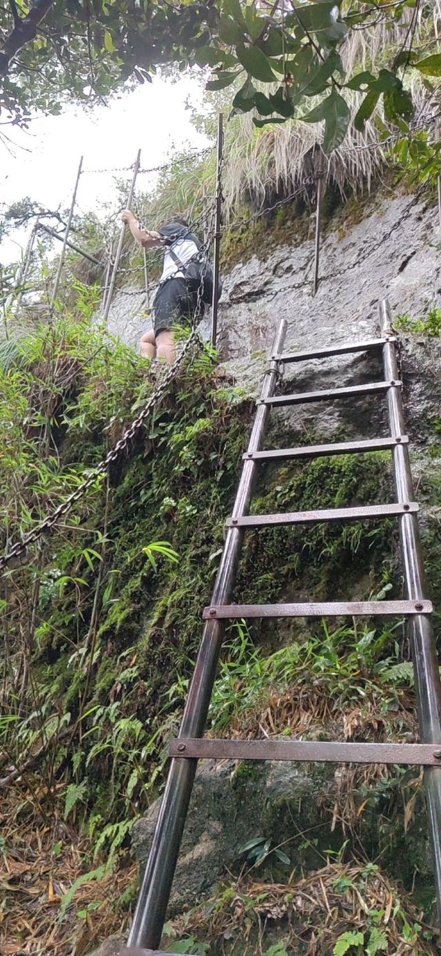 海南热带雨林国家公园五指山景区旅行图片 2