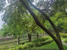 晓港公园-广州-张鹏Patrick