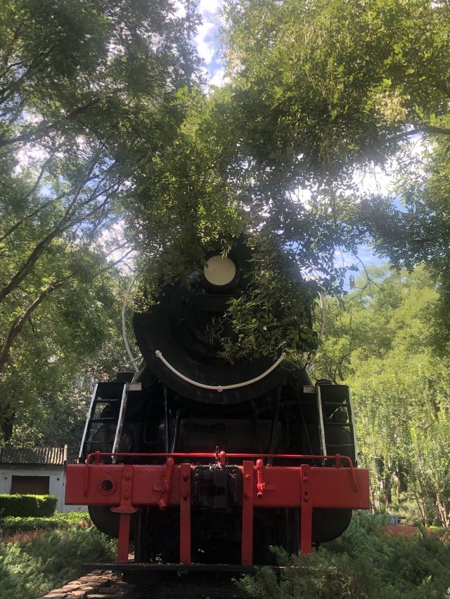 玲珑公园旅行图片 12