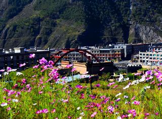 四川旅游：稻城香格里拉小镇走马观花行（图）