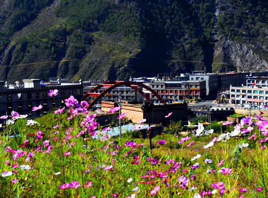 四川旅游:稻城香格里拉小镇走马观花行(图)