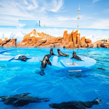 万宁+陵水6日5晚拼小团