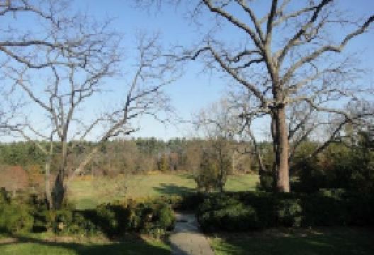 Rockville Civic Center Park景点图片