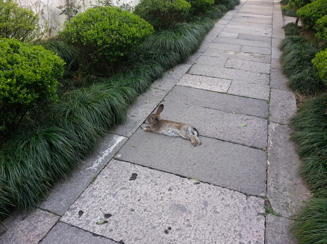 绍兴百草园-绍兴市必去景点