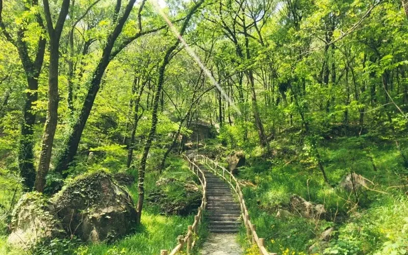 永安旅遊