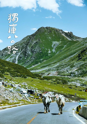 每年只通车4个月的公路竟是全疆zuì美公路!
