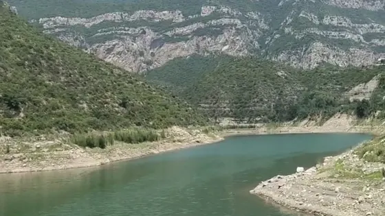 柳林河