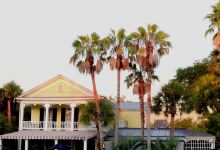 Raintree Restaurant美食图片