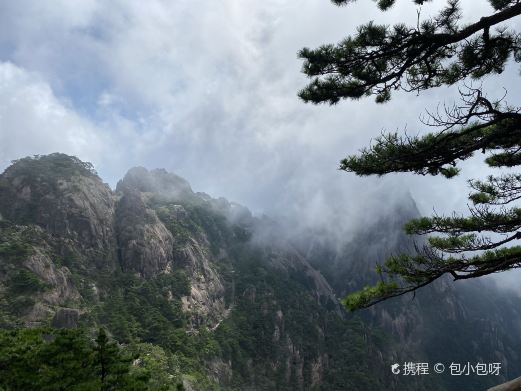 北海景区-团结松