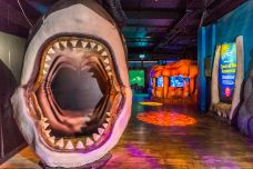 墨尔本水族馆-墨尔本