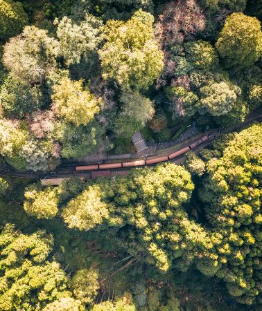 2D1N • Alishan National Scenic Area + Alishan Forest Railway + Alishan National Forest Recreation Area + Sister Ponds + Hinoki Village
