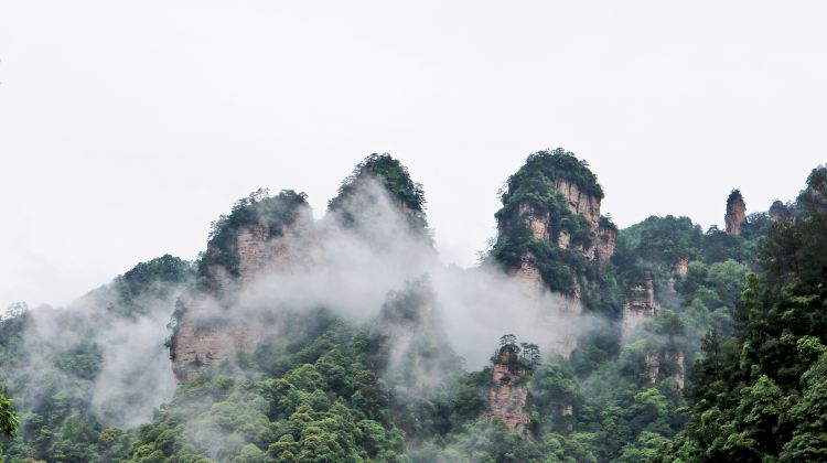 2D1N · Group Tours · 6 person mini group, Zhangjiajie Grand Canyon Glass Bridge, Avatar Suspension Mountain, Bailong elevator