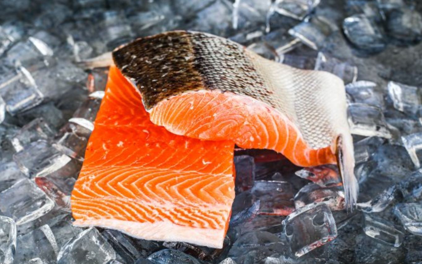 Peter's Sydney Fish Market