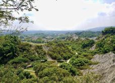 田寮月世界-高雄-大姐小露開心果