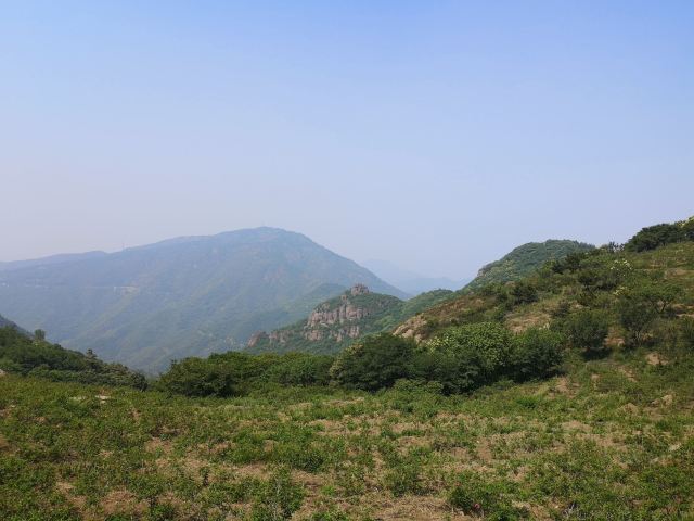 玫瑰谷旅行图片 2