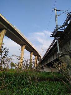 杏林大桥-厦门-一路都是美景啊