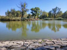 太阳岛风景区-哈尔滨-萧宣