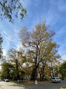 太阳岛风景区-哈尔滨-钓雪老翁