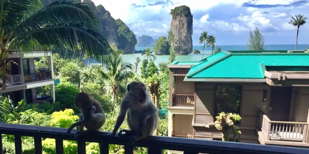 永安旅遊