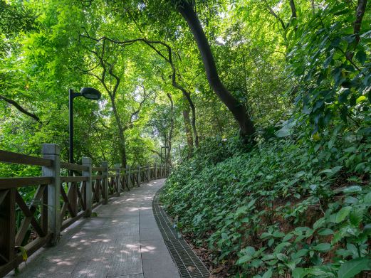 小天桥森林公园
