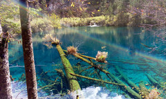 九寨沟游记图片] 记下我魅力九寨的色彩之旅
