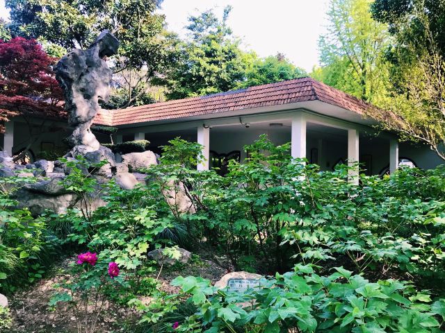 漕溪公园旅行图片 10