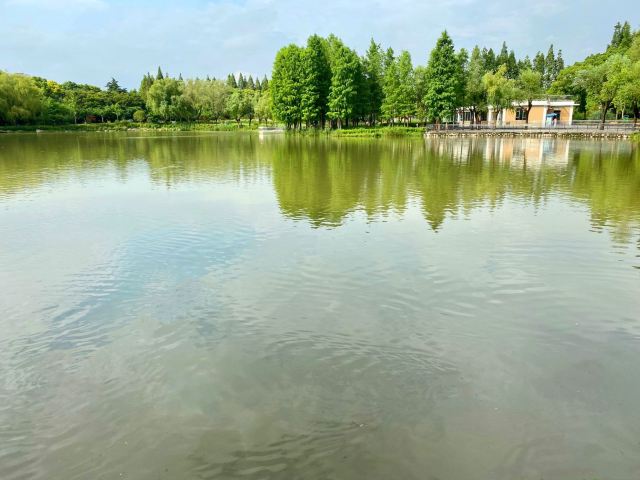 金桥公园旅行图片 2